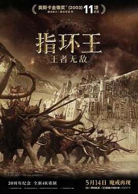 指环王3:王者无敌【影视解说】